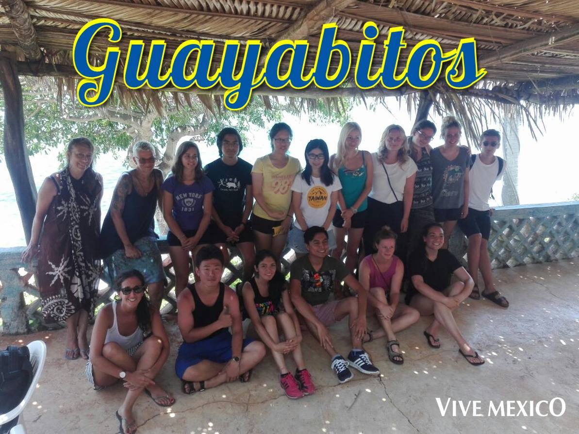 SEA TURTLES CONSERVATION II - GUAYABITOS